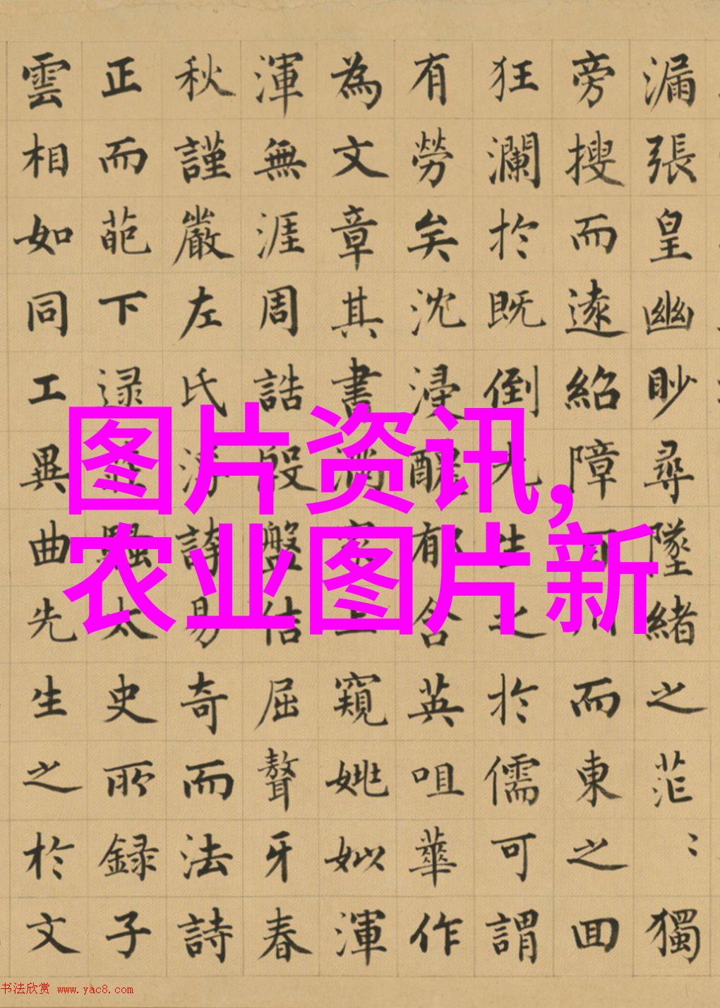 园艺花卉种植技术从基质选择到施肥策略的全方位指南