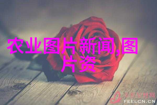 种植易于管理的果树选择和护理技巧