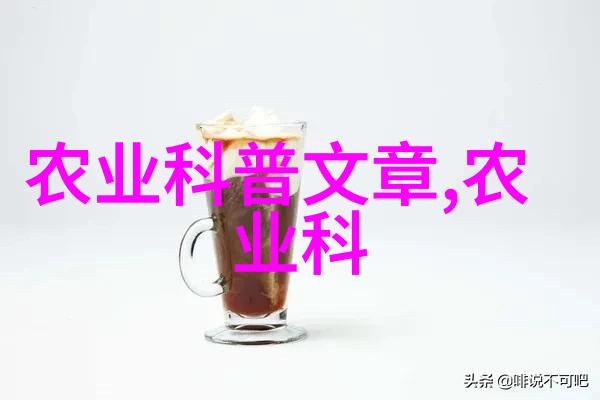 缅甸内战激化军政府与民族武装交火频发平民伤亡惨重