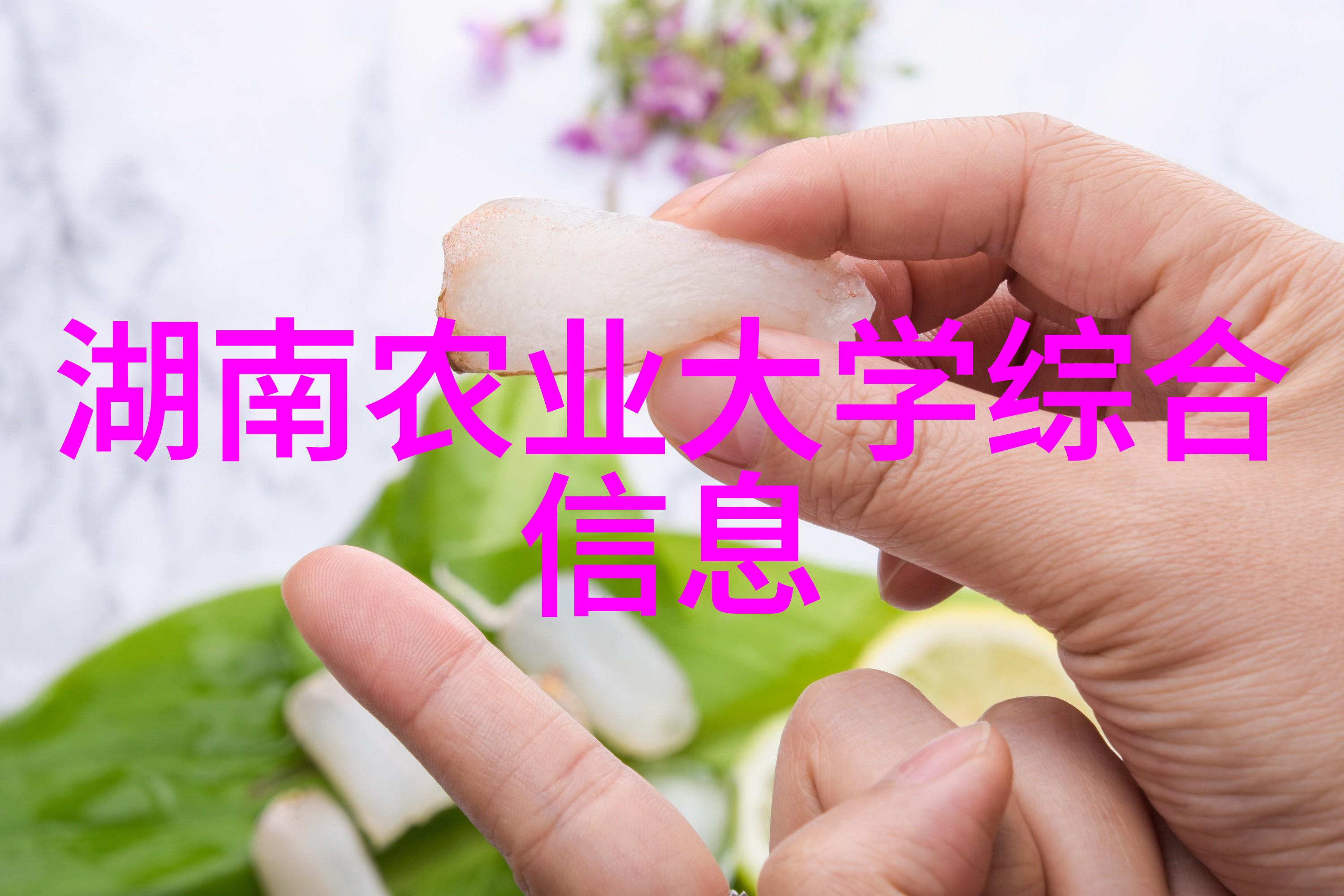 苗木树苗种植绿色生态环境的守护者