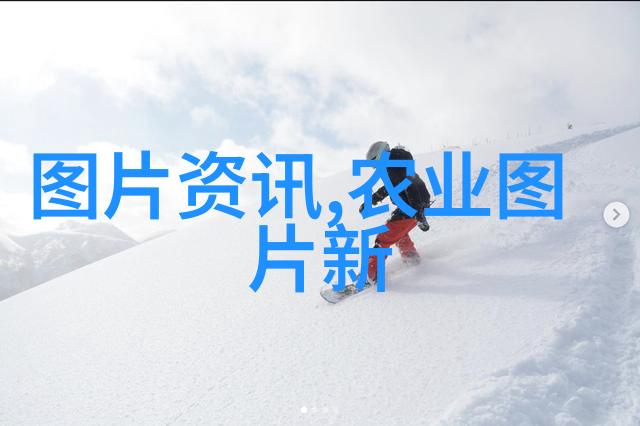 自然医学探索-最贵药材百宝图揭秘天然奇珍的价值之谜