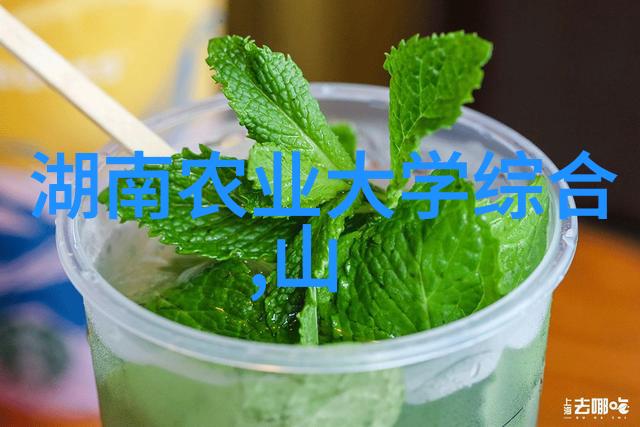 一亩药材一年收5万秘密花椒树苗的神奇之处在哪里
