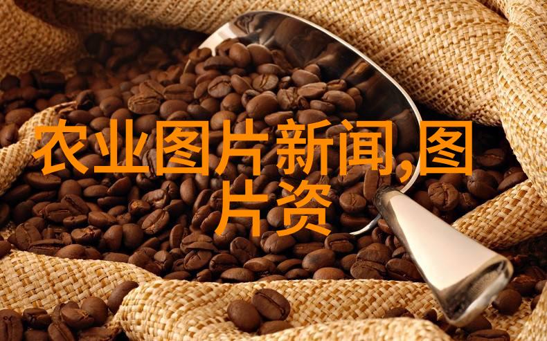 奶牛挑选技巧从养殖小尾寒羊的利润中汲取经验
