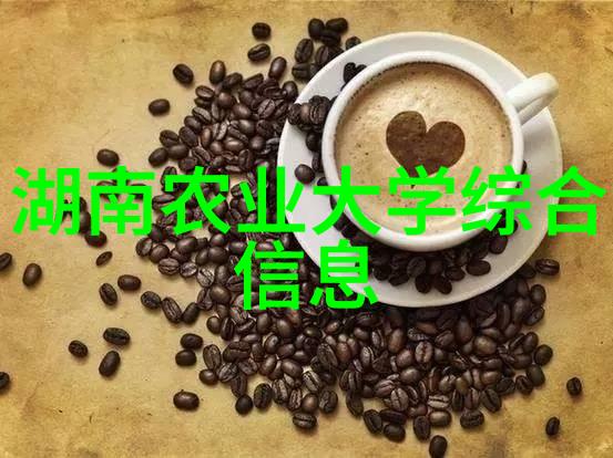 探索自然的丰饶各种果实种子的色彩斑斓图库