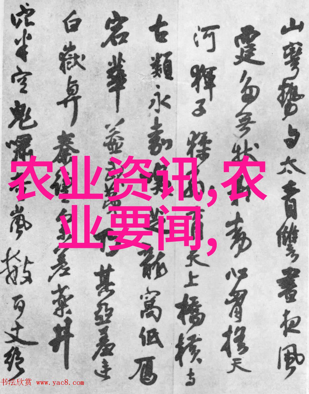 湖南农科院药材种苗隐秘的绿意与未知的药效
