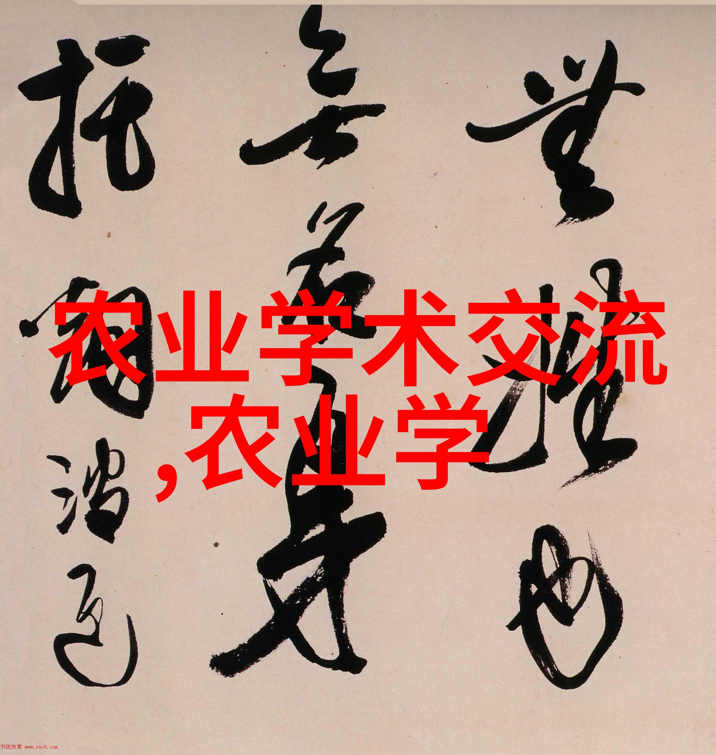 最近蔬菜批发市场的位置北京市蔬菜批发市场最新动态
