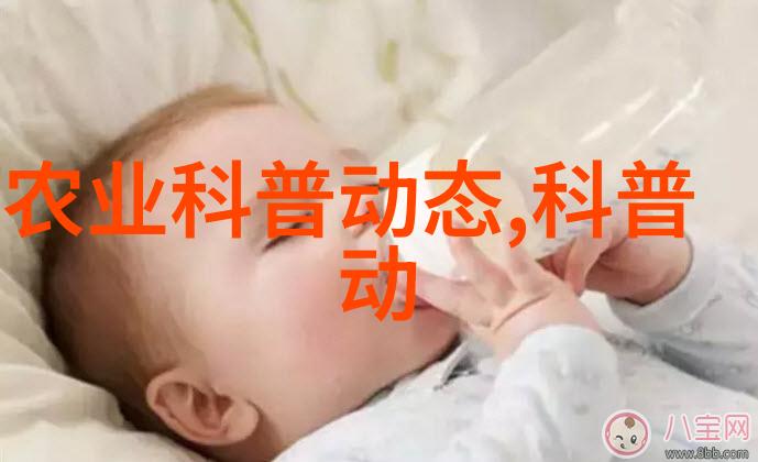 深入探究水平定向钻机的应用与未来发展前景