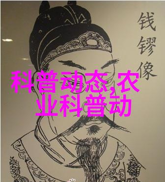 客厅最旺财的植物室内盆栽增值