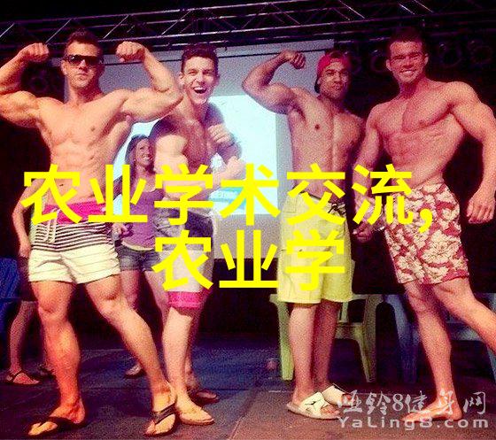 绿意盎然的蔬菜超市鲜美生机与丰富选择的盛宴