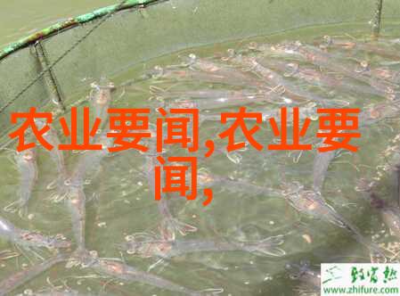 绿色革命中型农机的创新力量