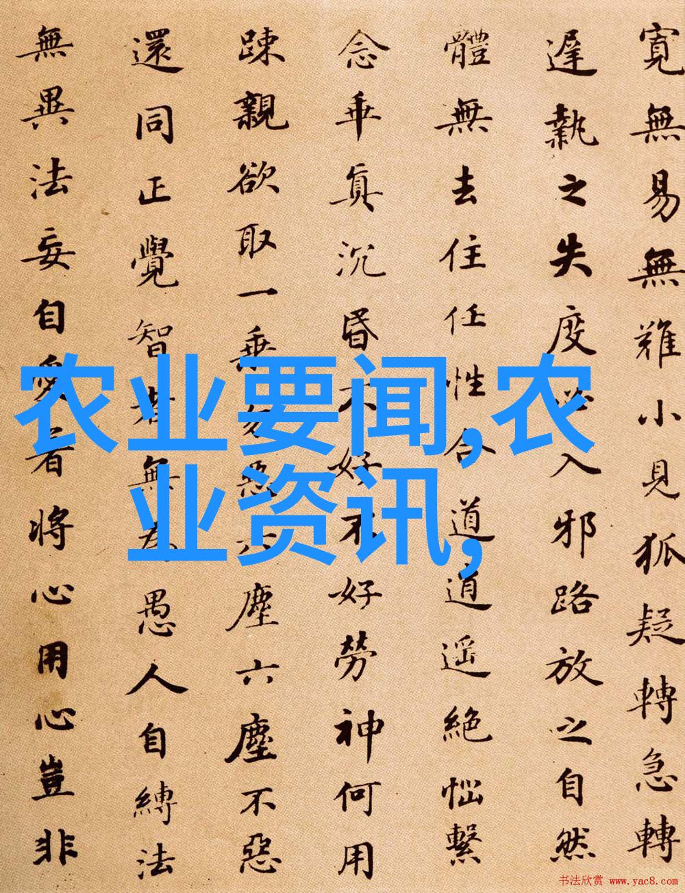 多年生草本植物的魅力与应用