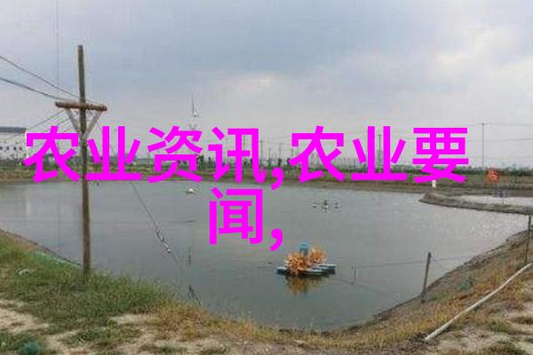 山药生长中后期管理要点与豌豆相结合的物品应用实践