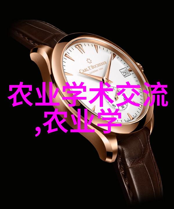金丝楠苗木的迷人价格揭秘园艺爱好者的收藏佳品