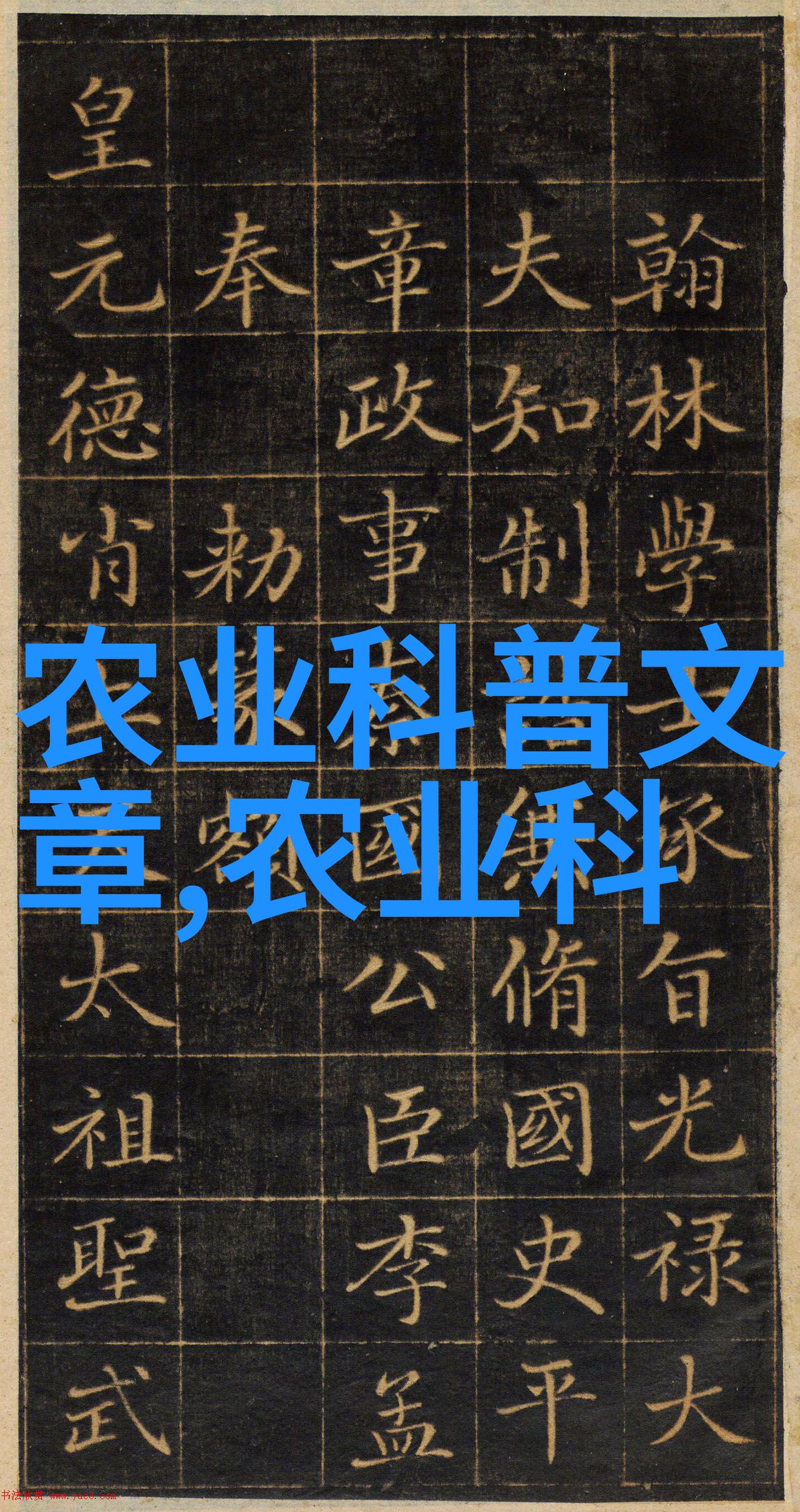我家的花园里各种颜色的带种子的水果图片