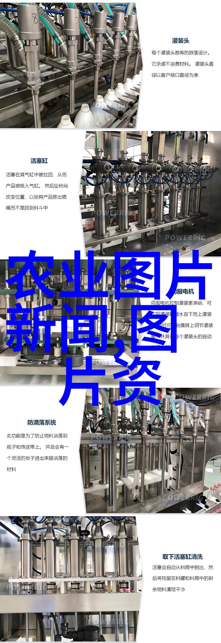 茶叶入门-探索世界从基础知识到高级品种的茶艺之旅