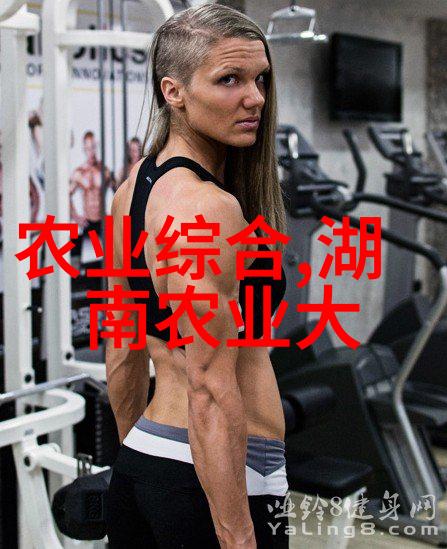 农业机械-高效利用农作物秸秆的秸秆打包机