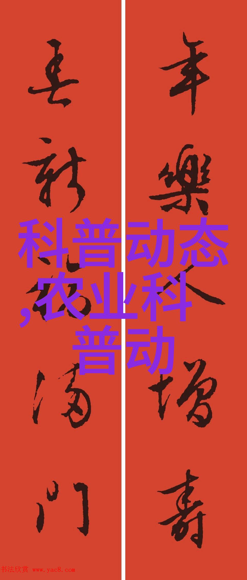 探秘中药材网数字时代的草本宝库
