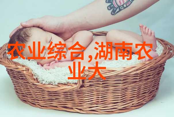 探索绿意盎然苗木类型的多样性与选择