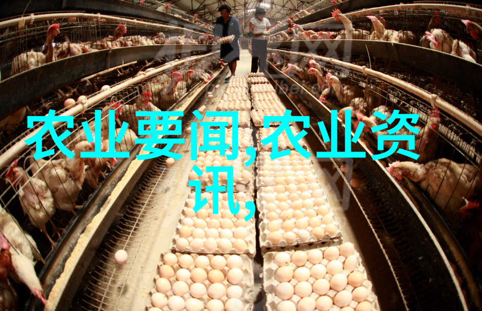 绿色循环利用的新时代秸秆打包机如何改变农业废弃物处理模式