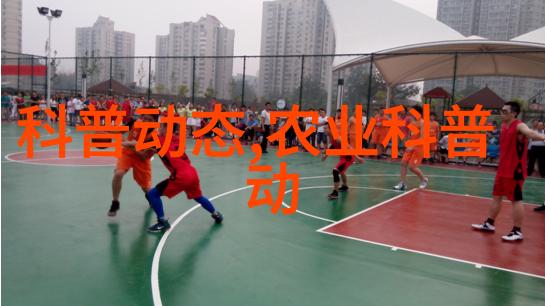 乡村振兴新篇章农村土地流转机制的优化与实践