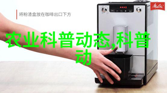 玉米种植金色的海洋在摇曳的风中舞动