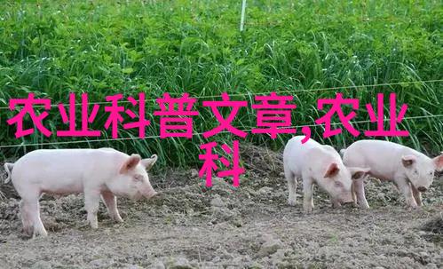 绿萝扔了鬼就走了吗绿萝游戏鬼畜段子