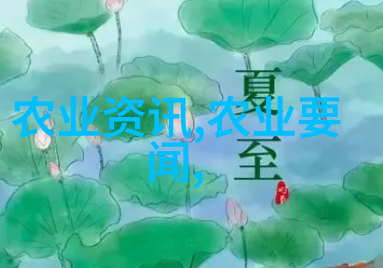 现在种植这些最赚钱水果一年见效的神奇菠萝园创业秘籍