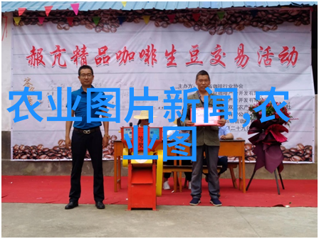 茶叶种类排行榜前10名绿茶红茶乌龙茶白茶黄茶青柠花香草普洱