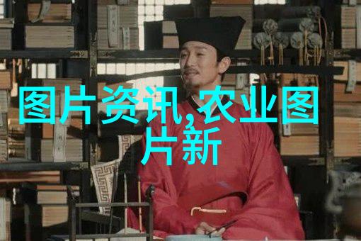 茶道之谜揭开其背后的文化内涵