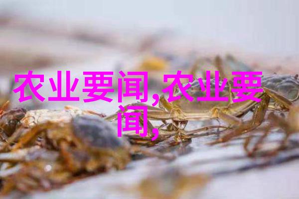 建一个二亩地的大棚多少钱咱们来数一数