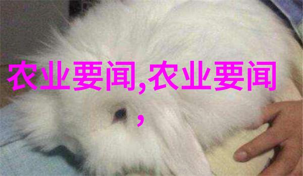 惠农网和一亩田哪个好我是这样想的小明说惠农网还是一亩田哪个更适合咱们这些忙碌的小伙伴