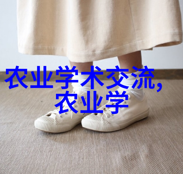 皮带轮的旋转舞步驱动效率与耐用性之探究
