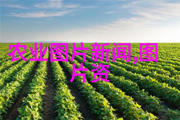 高效农业投资最赚钱的现代农作物种植智能农业技术生态循环养护