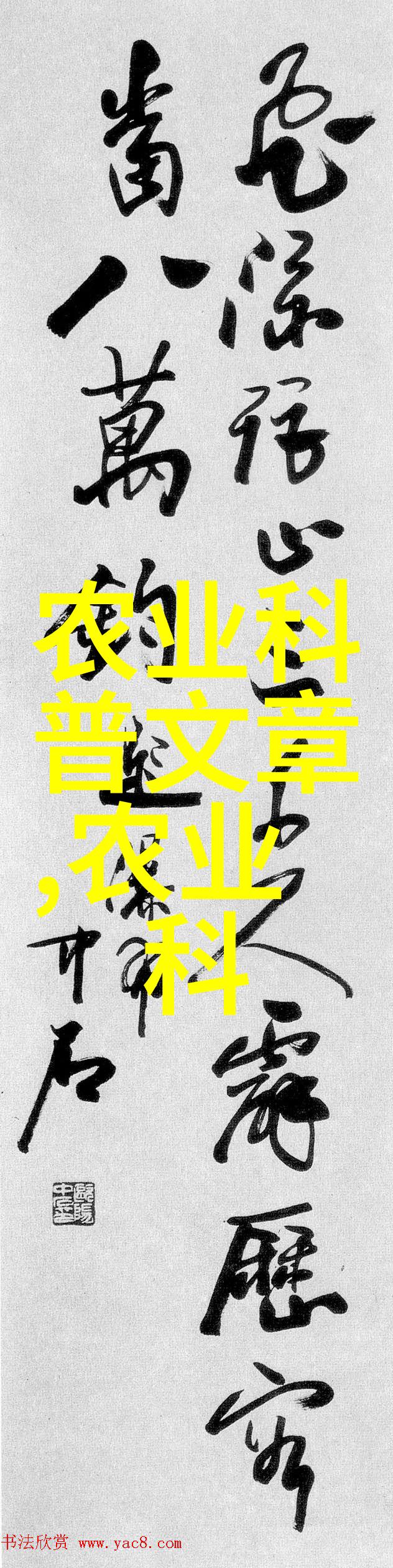求是杂志发表重要文章朝着建成科技强国的宏伟目标奋勇前进