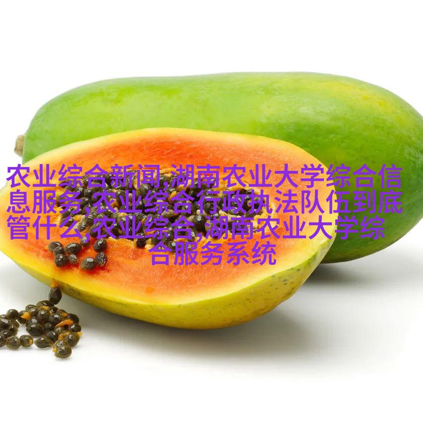 蒙古高原野菊