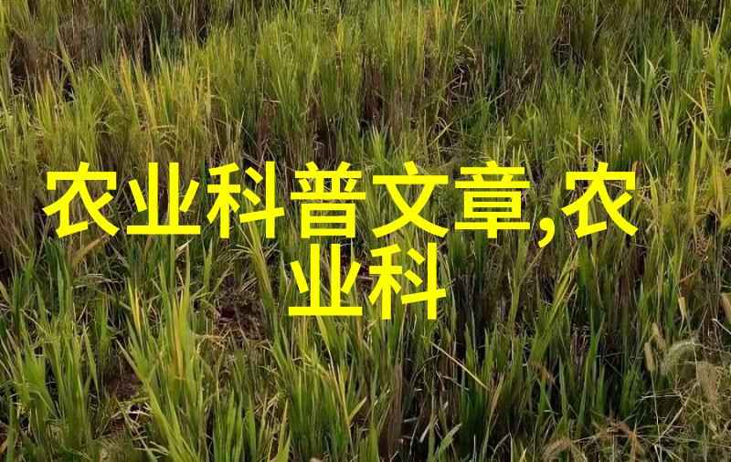 秋季种植佳作八月九月适合的农作物选择