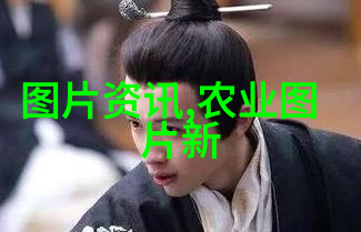 茶叶的种类与名字探索世界各地独特的茶香
