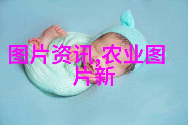 沉默的茶叶揭开千年茶文化背后的秘密