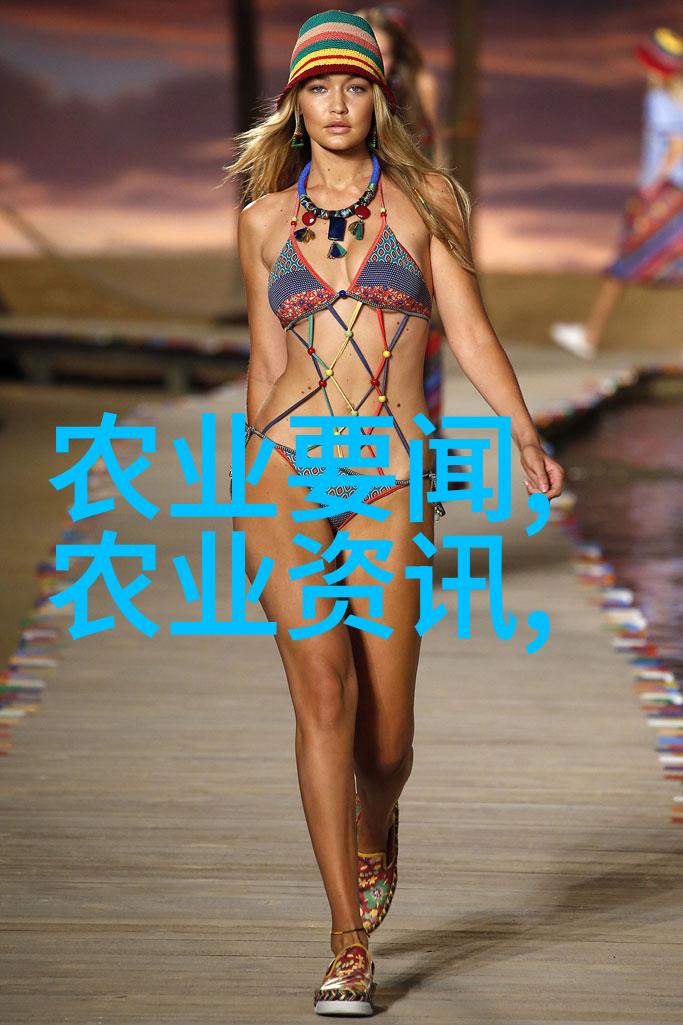 对农业机械的认识-深入浅出揭秘现代农业机械的魅力与应用