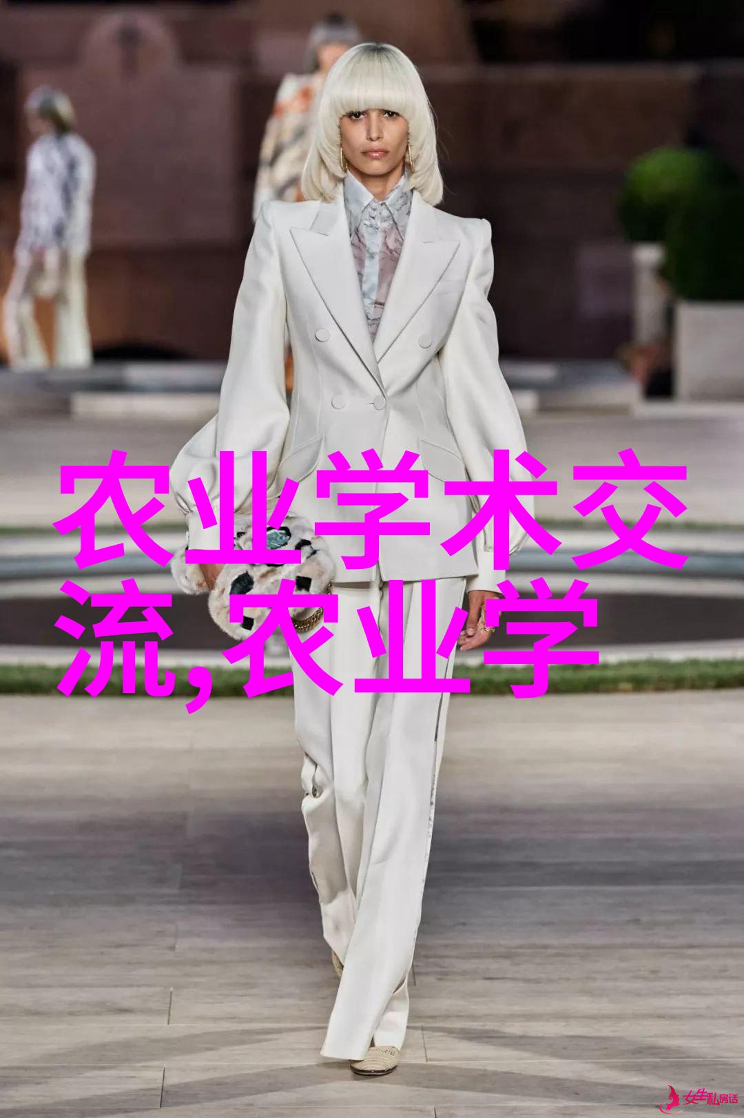 探索水果世界揭秘种子之美