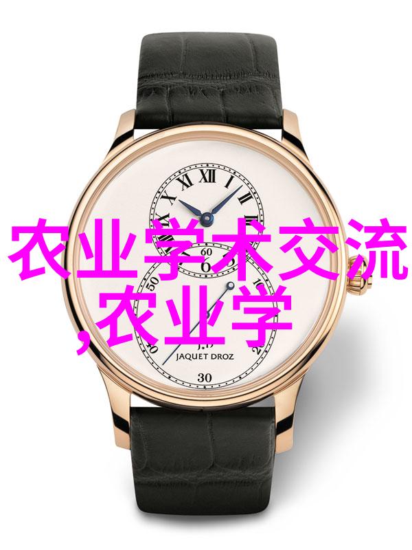 大棚种菜技术大全我的菜园宝典