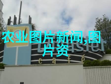 这些花儿仿佛在阳台上跳起了舞蹈10种公认最美的室友们吊起来简直让人心动