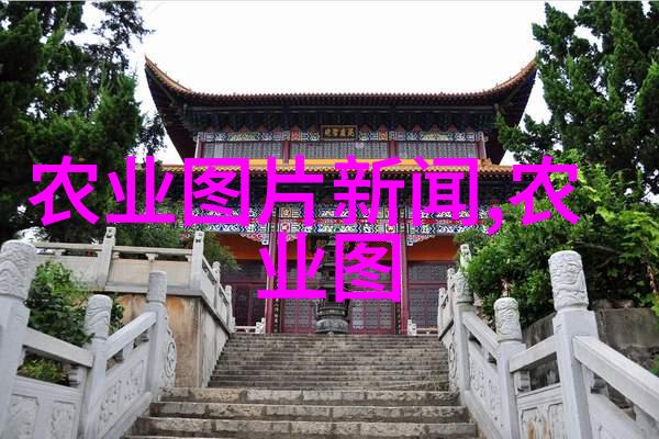 花卉百科探索植物世界的美丽与智慧