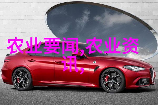 冬日蔬菜的秘密花园如何在寒冷中培育绿意盎然