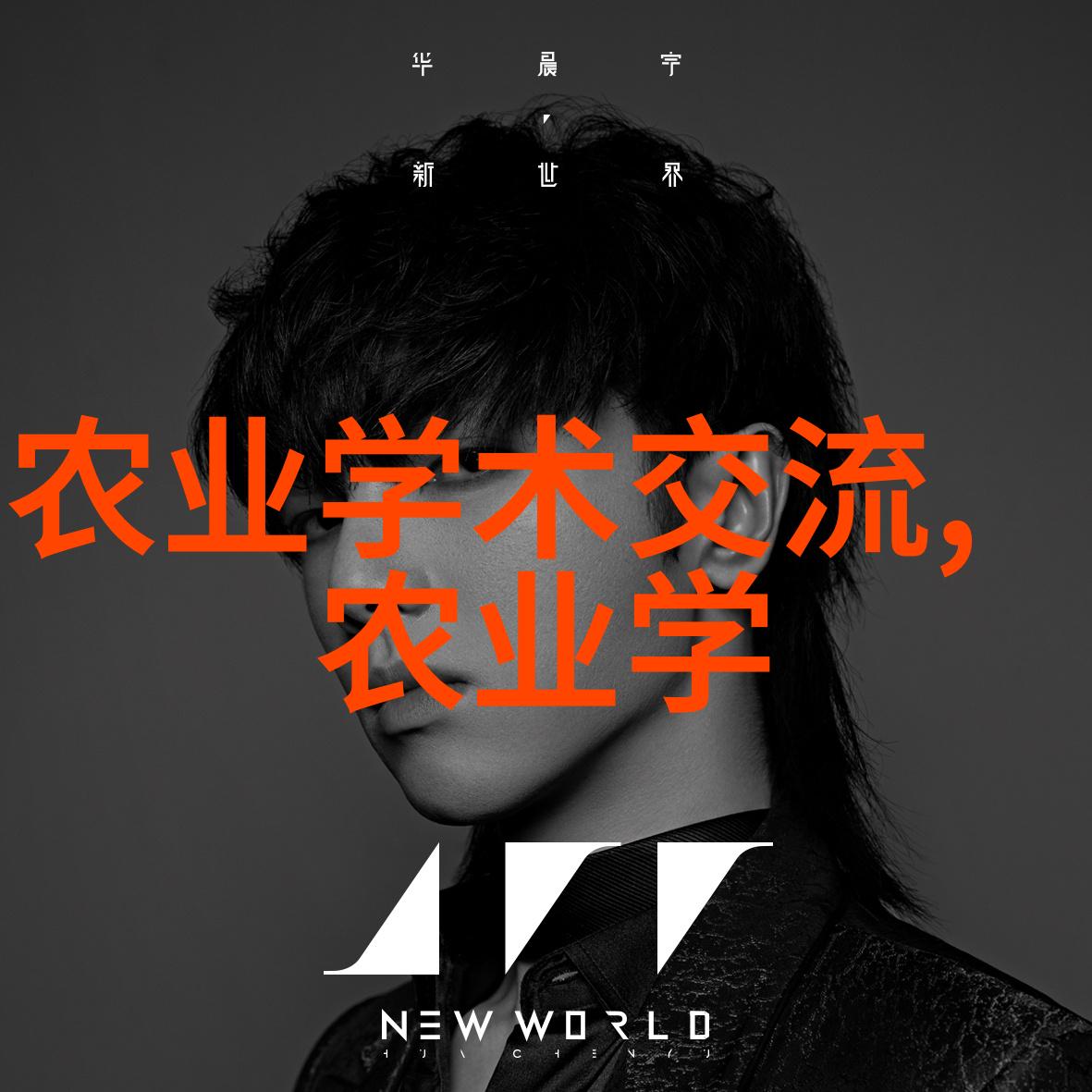 美丽盆栽花卉精致园艺的艺术之作