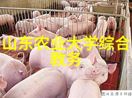 鄢陵苗木价格一览表哪些树种性价比最高