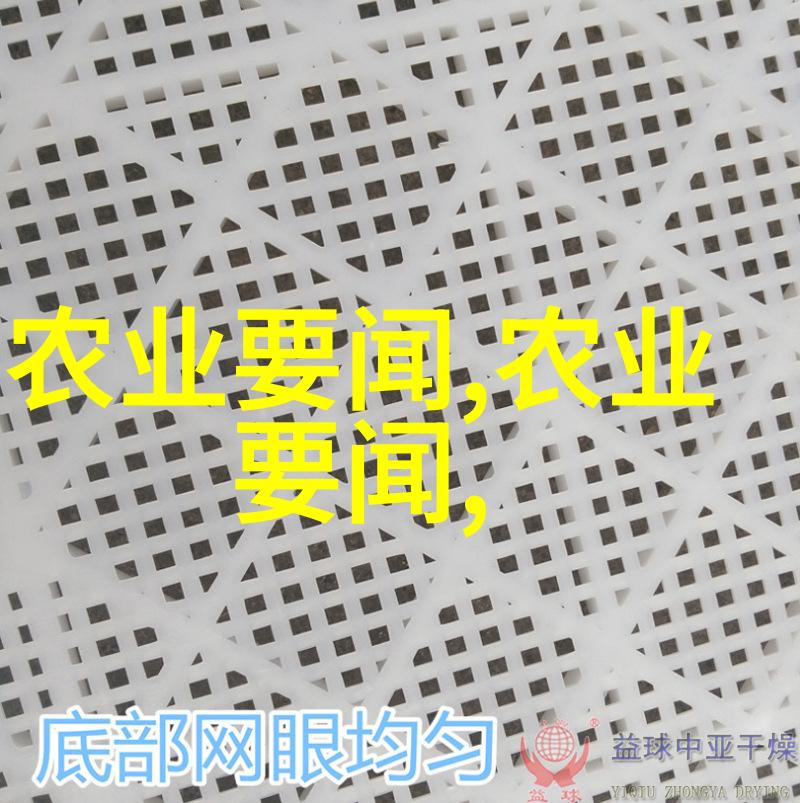 绿意盎然的选择10种最佳阳台花卉