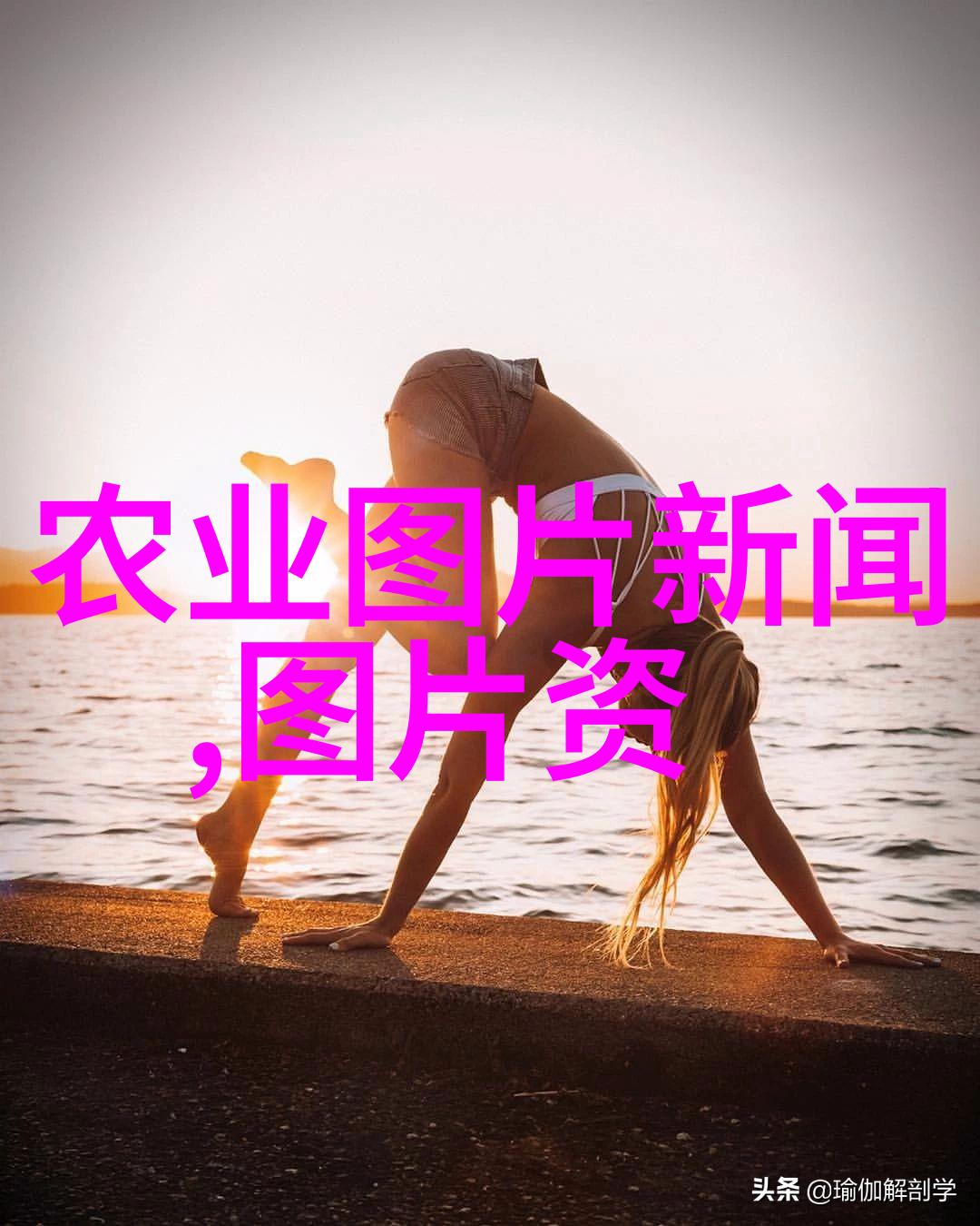 中药材市场行情分析当代最昂贵的草本植物