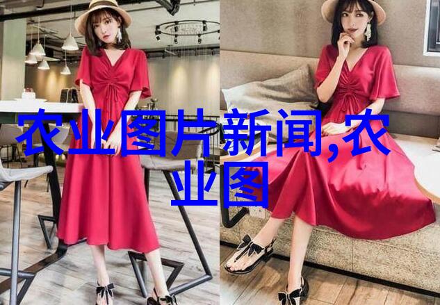 室内绿洲如何在小空间中种植美丽的植物