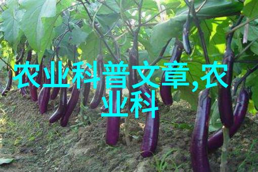 迎接秋收8-9月份种植哪些农作物